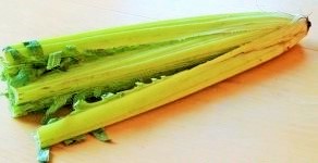 like celery