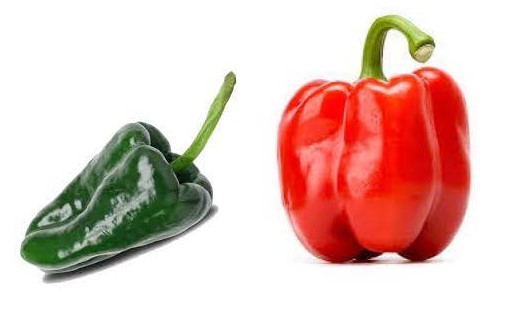 Green poblano and a red bell