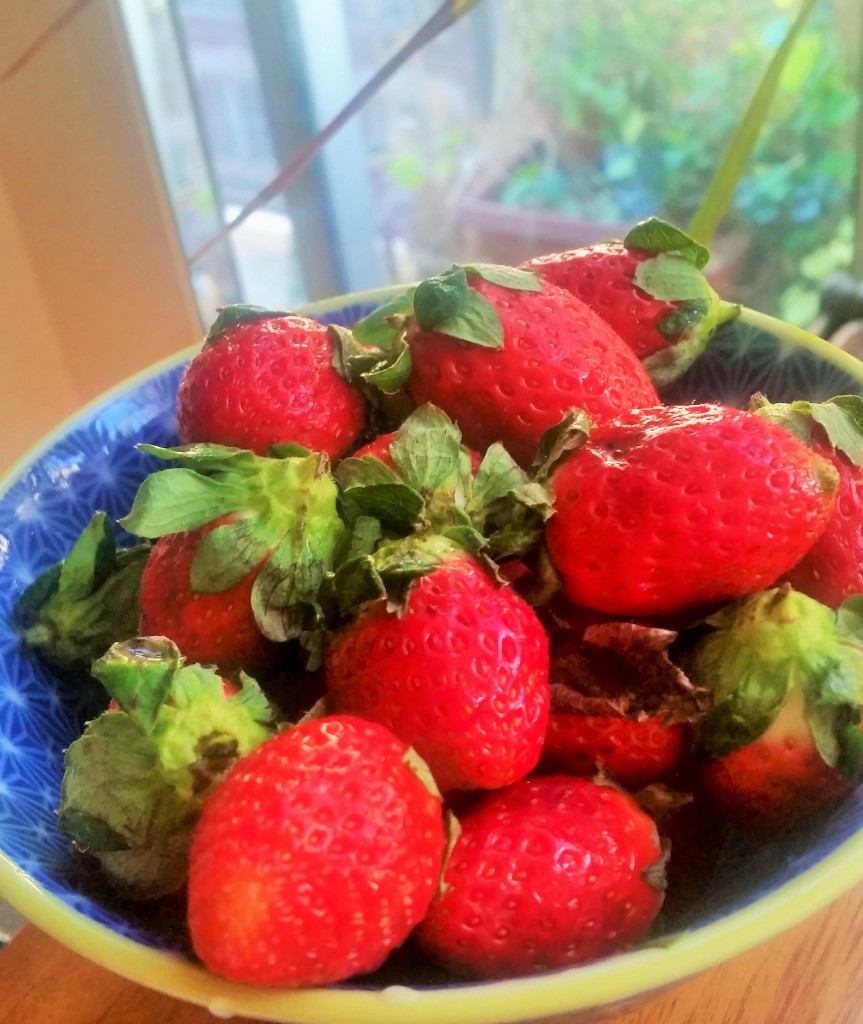 winter strawberries
