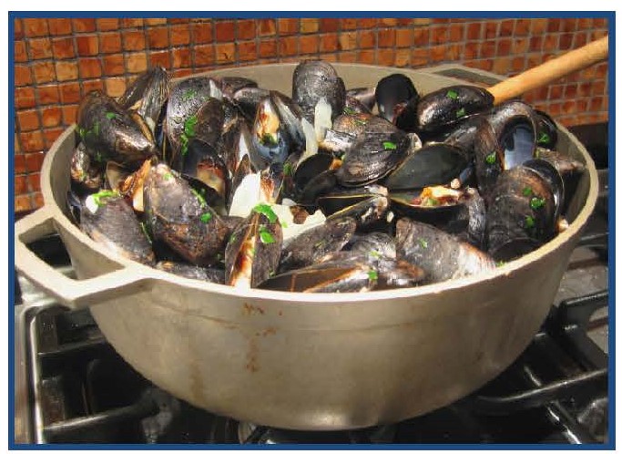 Breton Mussels
