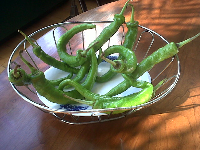 green peppers 2