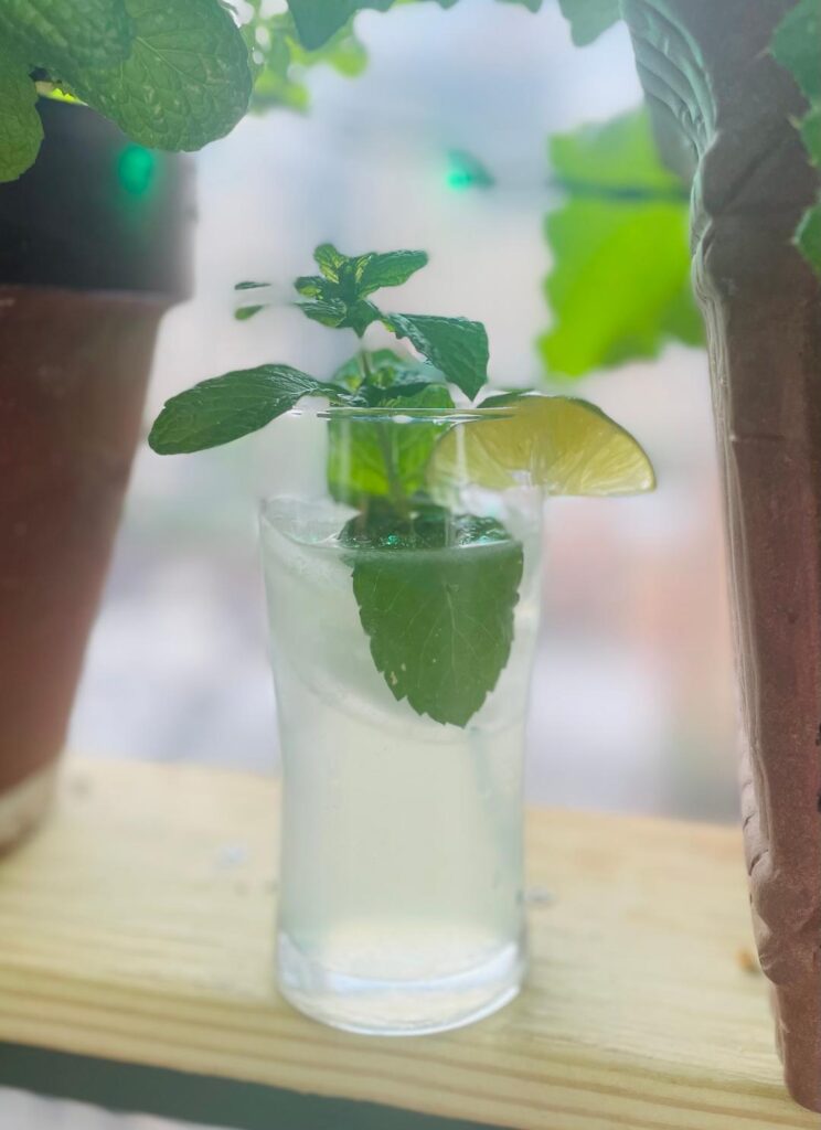 Mojito